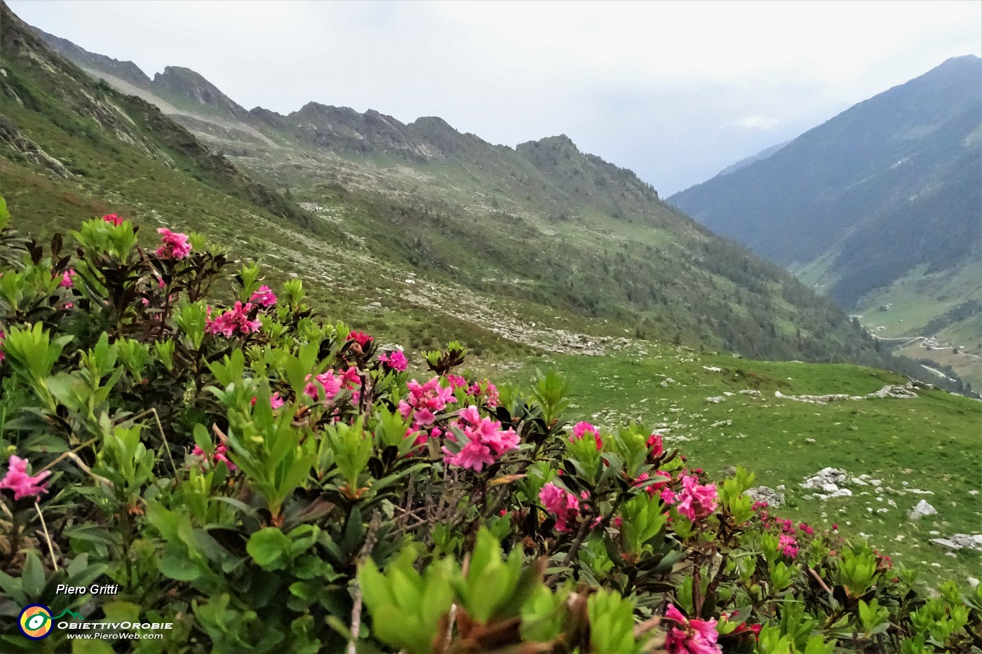 80 Dal Passo (2108 m) vista sulla Valle di Tartano.JPG